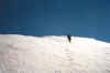 i p2.jpg (35383 byte)